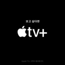 티비플러스 - 안양시 동안구 관악대로 320 | 티비플러스