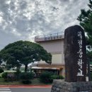 나무이야기 이미지