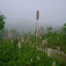 무궁화펜션 이미지