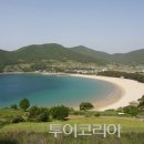 남해편백자연휴양림 이미지