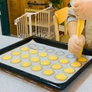 (주)퍼니펫 이미지