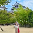 270-1602 | 마쓰야마 방문해야할 명소 오카이도 마쓰야마성 리프트 무료쿠폰