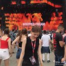 울트라코리아 2019 UMF 솔직 후기 2: 마지막 날을 불태웠다!