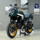 옵션(OPTION) | 바이크 PPF, BMW R1300GS Option 719 전체 PPF