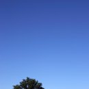 구름따라 이미지