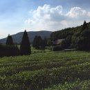 평화농원 이미지