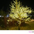 다대포 꿈의 낙조분수 이미지