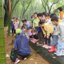 국립산림과학원
산림바이오소재연구소 이미지