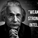 These 38 Quotes from Albert Einstein Will Change Your Life 이미지