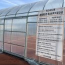 와스타디움 이미지