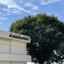 로이네 | [전주 근교 카페] 로이네 커피로스터즈 아이랑 가볼만한곳 (feat.코스모스)