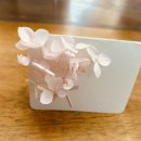 그림책 테라피 엄마 먼저 그림책 이미지