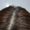 닉프리미엄PC 이미지