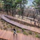 46서울동창회 등산반 모임 남산 봄꽃 나들이 영상 기록 ＜사진 촬영 편집: 이석재 동문 이미지