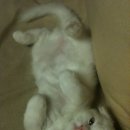 꼼꼼약국 이미지