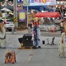 팬플루트(야간) 이미지