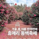 자연종합농원 | 휴애리 동백 축제, 대표 제주 자연농원인 이유 (동백꽃·유채꽃·입장료·예매·할인·위치·기본정보)