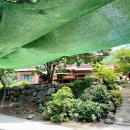 명일민박 이미지