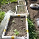 하우리농장 이미지