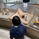 녹청자박물관 | 인천 서구 녹청자박물관 아이와 함께 다녀온 후기