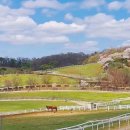 원흥목장 이미지