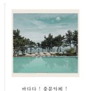 [제주] 🌊 서귀포 바다뷰 카페 추천! 중문 감성카페 ‘바다다’에서 힐링하고 왔어요
