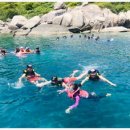 종일코스 이미지