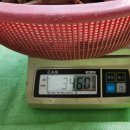 자연산 ㅡ황칠나무/섬가시오가피/괴물 꾸지뽕뿌리/운지+느릅잔나비/총7종 이미지