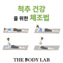 더바디랩필라테스춘천
