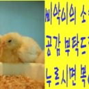 오렌지팩토리앞 이미지