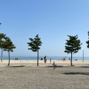 팔팔슈퍼맥주 | 강원도 고성 리조트 오션투유리조트 아이와 함께 오션뷰 숙박 후기