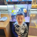 씨네샤르망3 | 아이와 영화 관람 후기, 아기티라노 디보 롯데시네마 병점 다녀왔어요