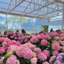 남원읍-13 이미지