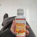 491 | 임신 22주 정밀초음파 후기｜태아 몸무게 491g 정상, 장기검사 결과 공개 [26년 3월 3일]