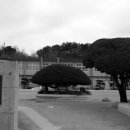 사동초등학교 이미지