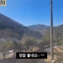 G1153 이미지