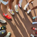 {{ 입상 수상 }} 2025년 11월 9일 일요일 세종시 전국마라톤대회, 입상을 축하드립니다,,, 이미지