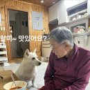 중앙탑펜션 | [충주 중앙탑 초가집] 입맛 까다로운 엄마가 인정한 충주 매운탕 맛집_매운탕 포장 내돈내산 솔직후기