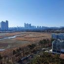 세로공인중개사사무소 이미지