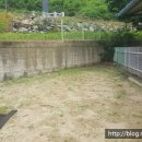 탄부초교 병설유치원 네이버블로그