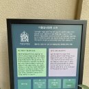 이풀실내정원 | 안산 식물원 유니스의정원 보타닉하우스 이풀실내정원 - 아이랑 겨울 가볼만한 곳 추천 (식물원 카페)