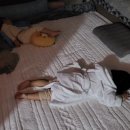 킨더이스쿨어린이집 이미지