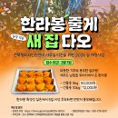 완산-평화-비상-002 | 전북평화와인권연대를 살려(주세요)