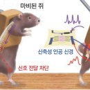 바오엔지니어링