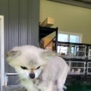 거창여자고등학교 이미지