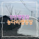 농다리 | [진천] 진천 새로 오픈한 진천농다리근처 농다리캠핑장 이용후기