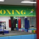 BEAT 복싱 이미지