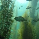 장수중학교 이미지