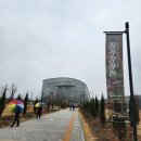 국내 최대 사계절 전시온실, 국립세종수목원 관람후기 (지중해, 열대, 쥐라기가든 특별전, 박쥐란까지!)