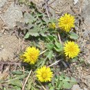 포토포엠 2022 12 - 이미지